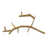 drzewo BRANCH